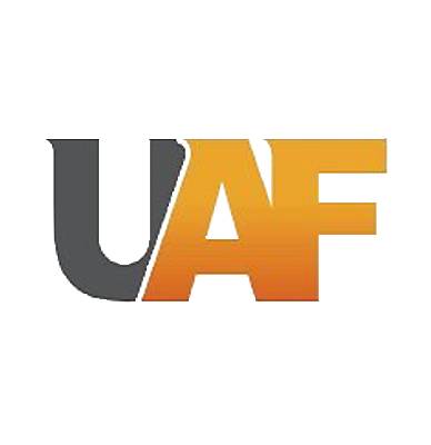 Unidad de Análisis Financiero